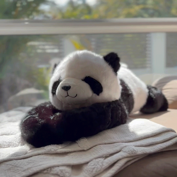Weighted Plush Animals