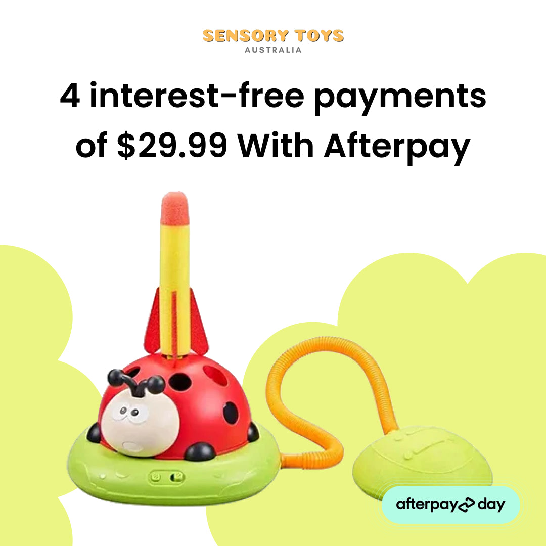 3-in-1 Ladybug Activity Machine