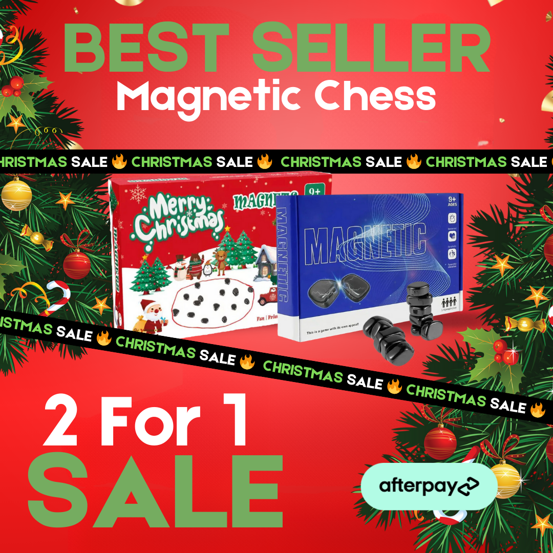 Magnetic Chess - 2 For 1