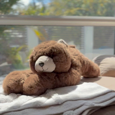 Weighted Plush Animals